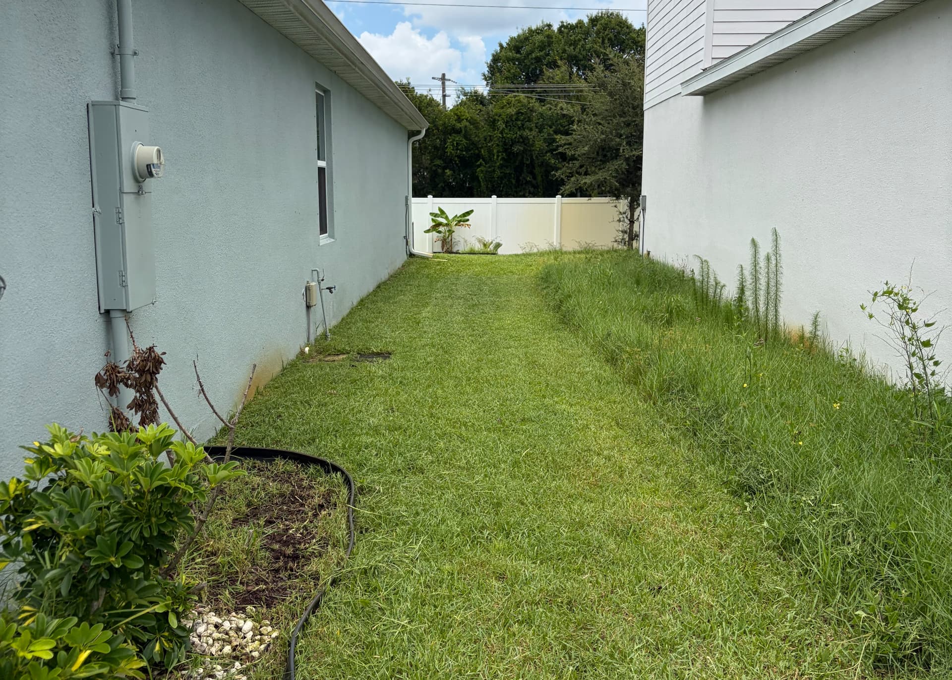 Overgrown side yard reset — after CutLine Lawn Care